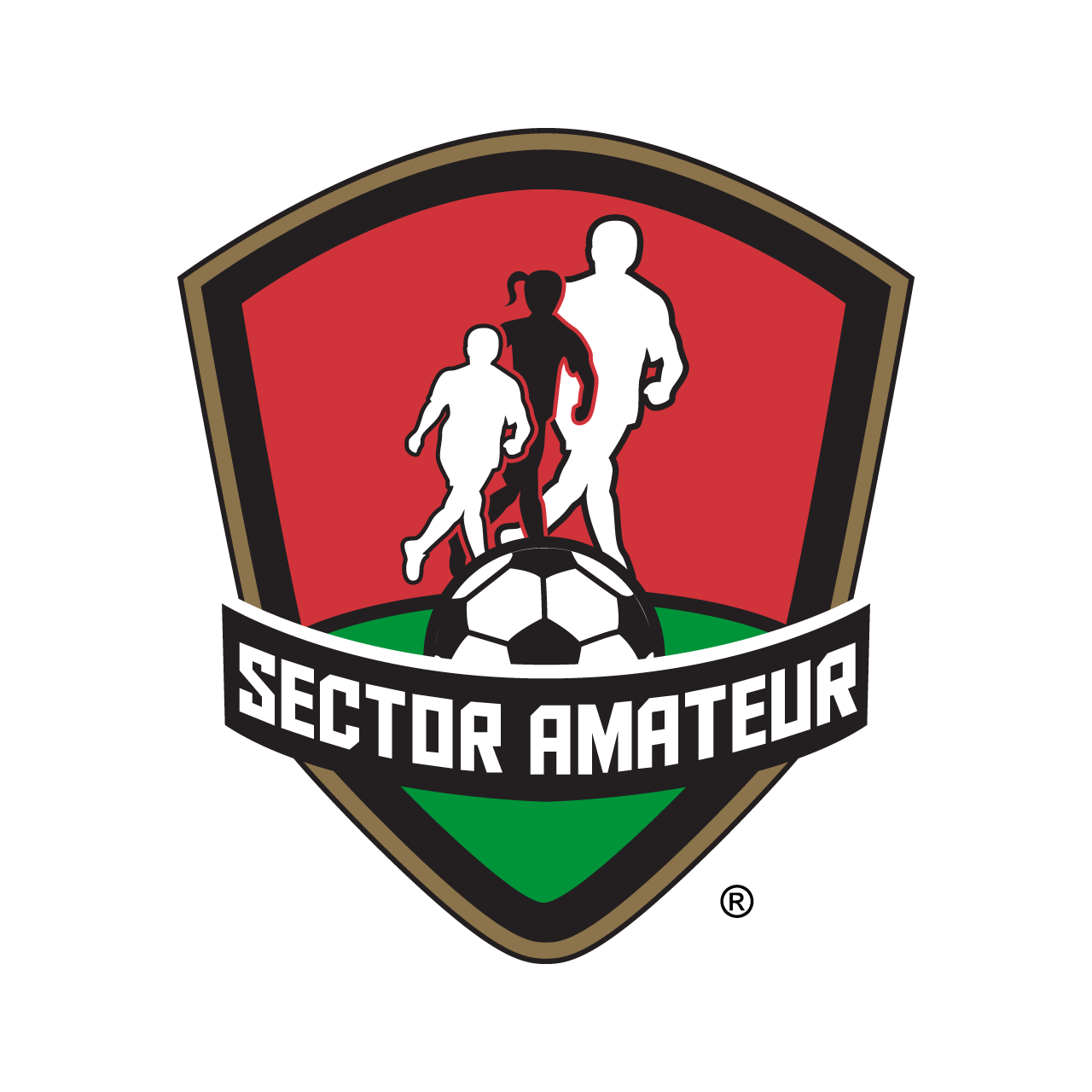 Sector Amateur (FMF)